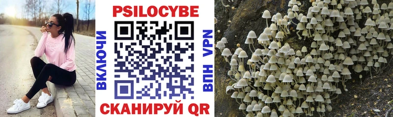 Псилоцибиновые грибы Psilocybe  Купить закладки  Тарко-Сале 